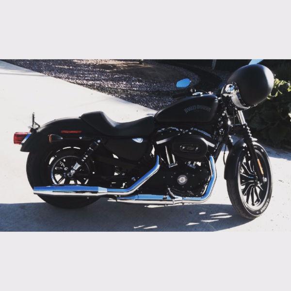 2015 iron sportster 883 for sale