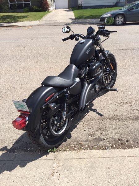 Bassani sweeper exhaust