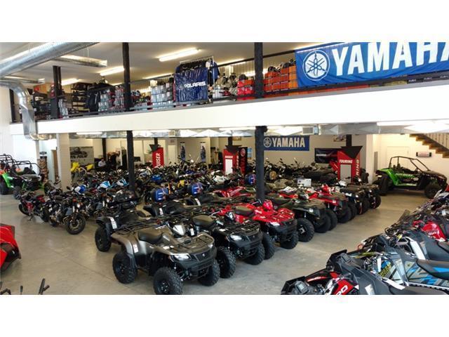 2016 Yamaha KODIAK 700