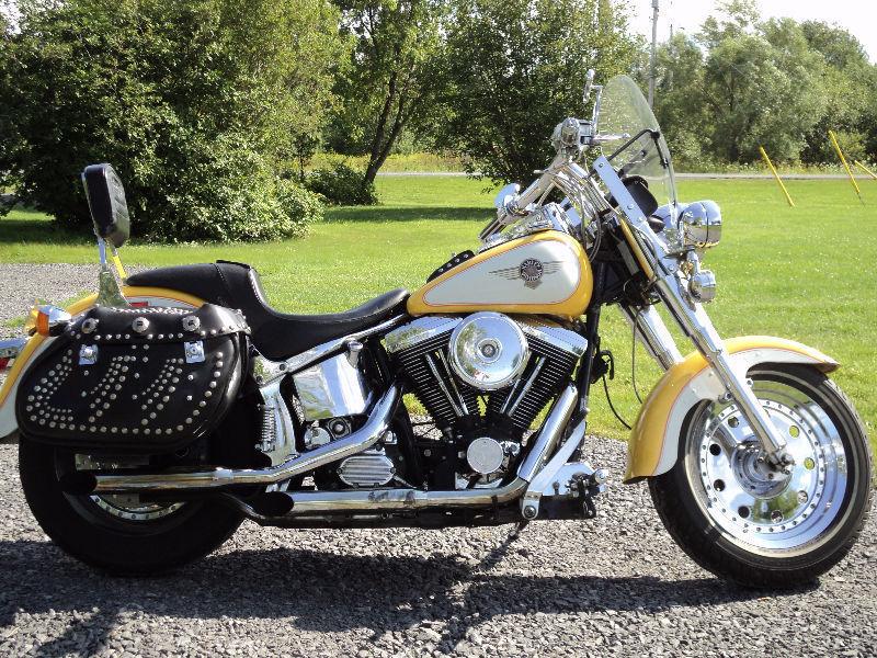 Harley Davidson Softail Fatboy for Sale