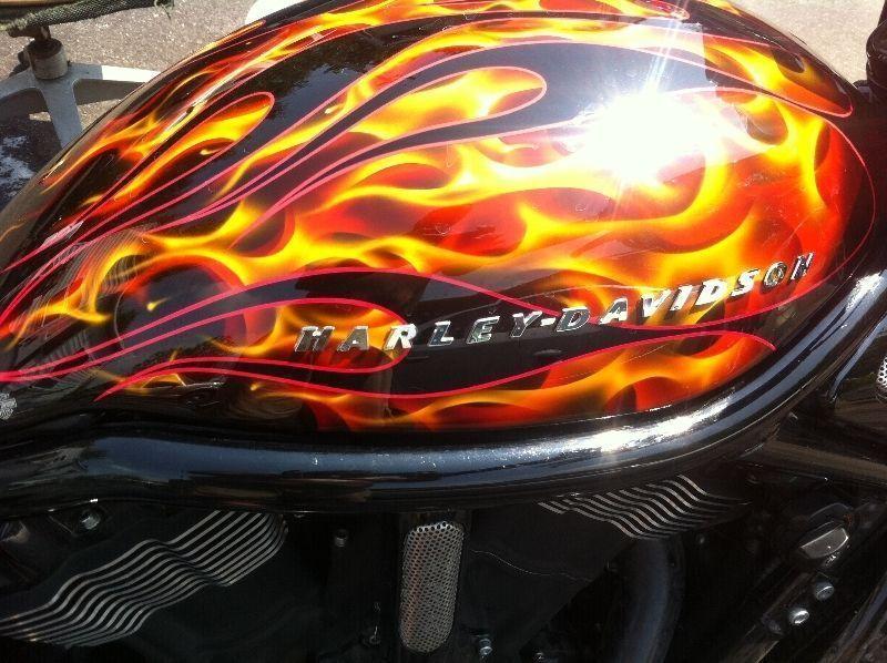 Rare HD Custom Paint Vrod Breather Cover
