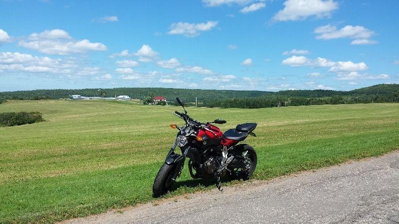 2015 Yamaha FZ-07 Red