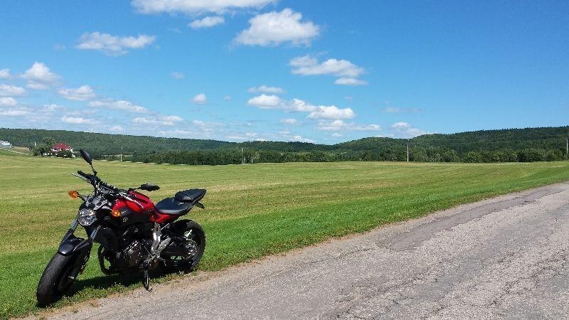 2015 Yamaha FZ-07 Red