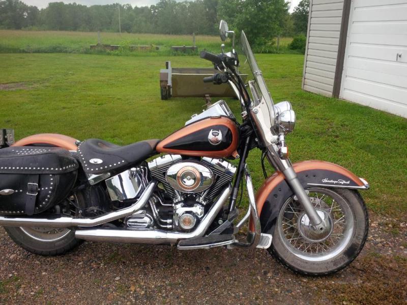 2008 Harley Davidson FLSTCI Heritage Softail