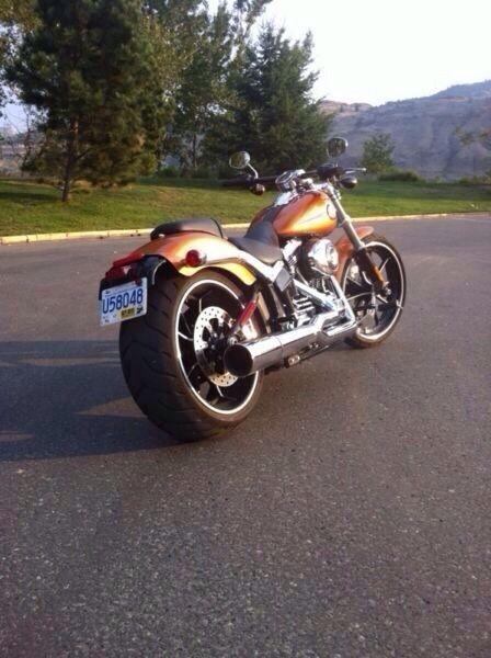 2014 softail breakout