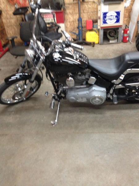 2000 softail in awesome shape with rebuild engine