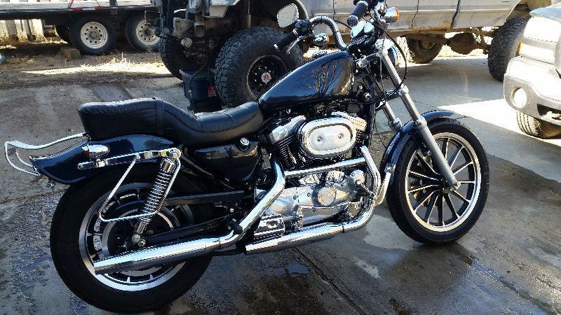 Very nice sportster