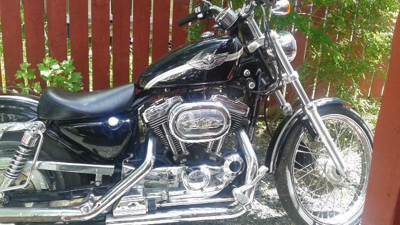 100th Anniversary Harley for sale