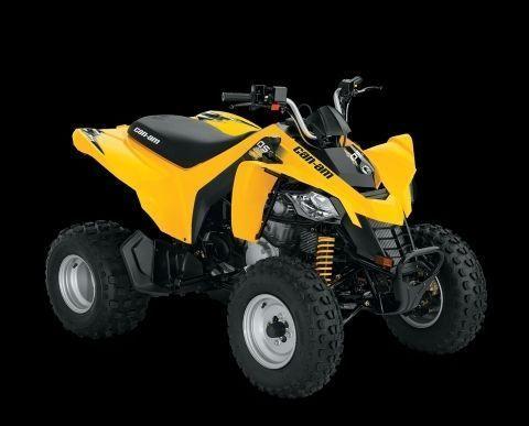 Can-am DS 250 Youth ATV
