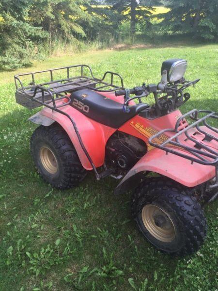 1985 Suzuki Quad