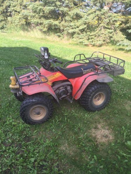 1985 Suzuki Quad