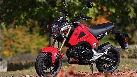 Wanted: Wanted Honda Grom