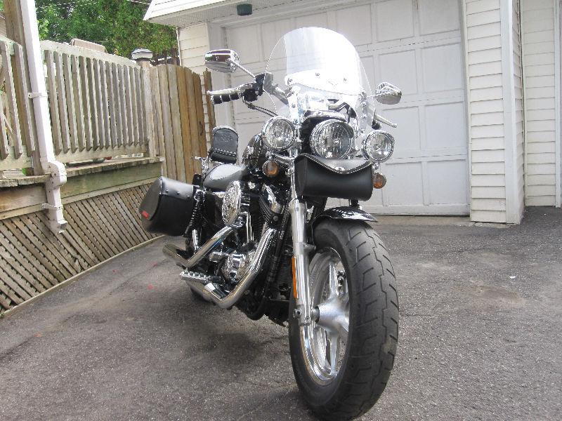 Sportster XL1200c 2012