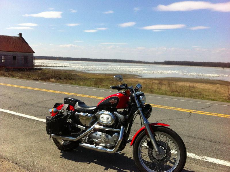 harley sportster