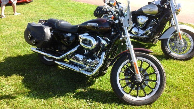 LADY DRIVEN 2007 HARLEY DAVIDSON SPORTER 1200