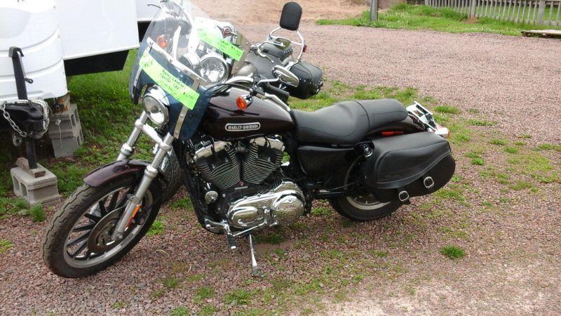 LADY DRIVEN 2007 HARLEY DAVIDSON SPORTER 1200