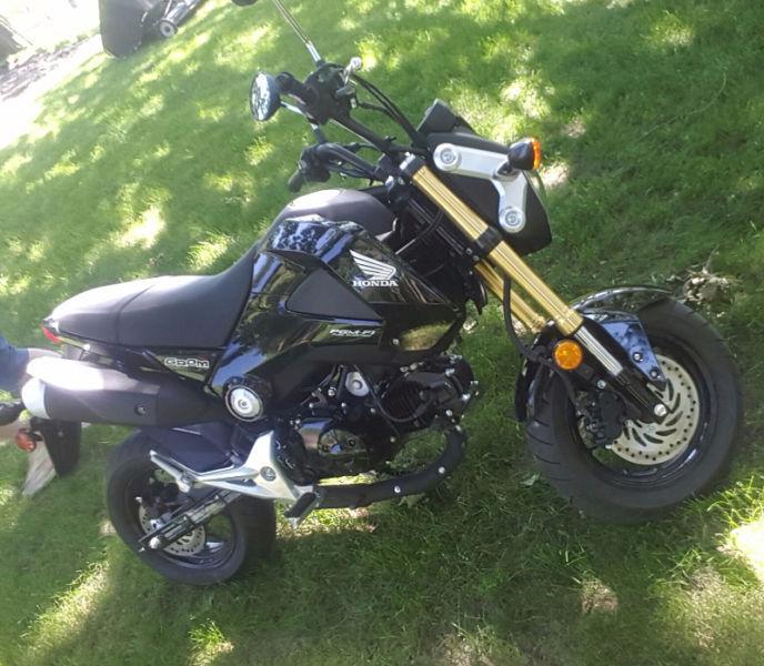**New**Honda Grom