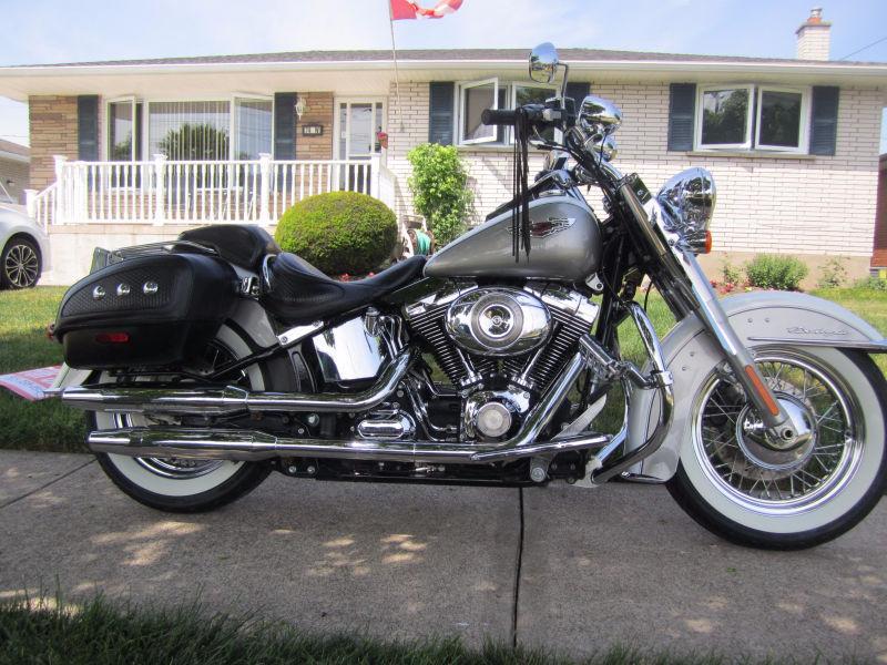 SOFTAIL DELUXE 2008