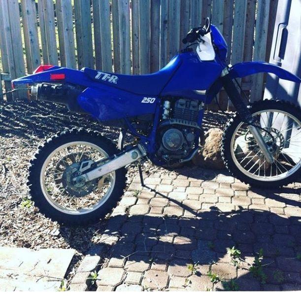 Yamaha ttr 250