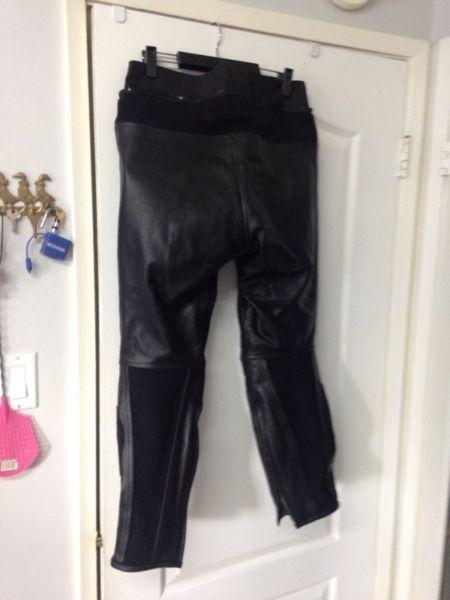 Motorcycle leather pants (new)