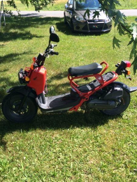Honda Ruckus scooter