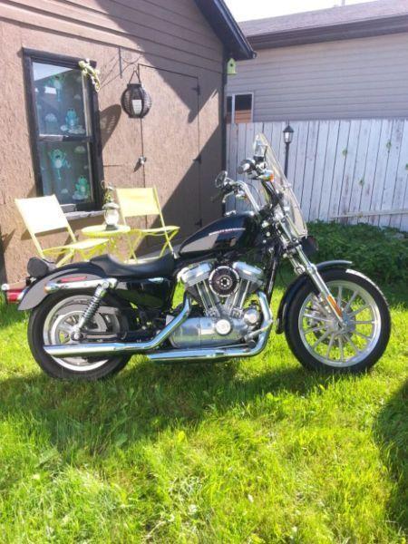 For sale 883 Low Harley Davidson