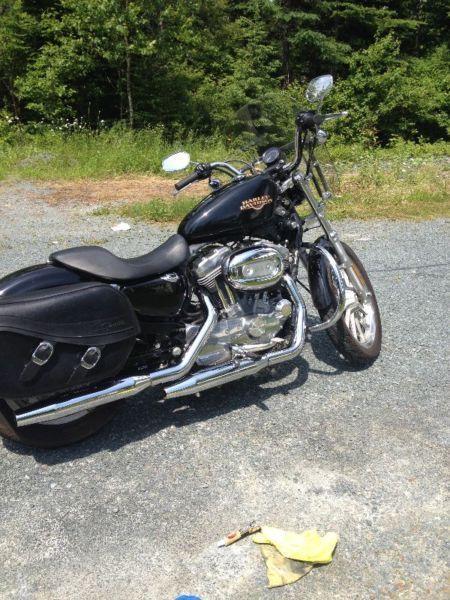 2010 883 sportster low