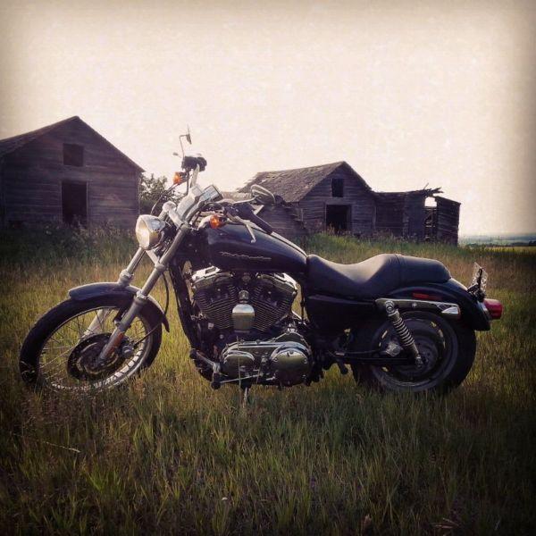 04 Harley Davidson 1200 custom
