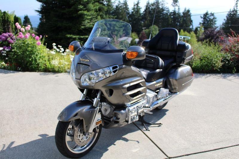 Gold Wing for sale
