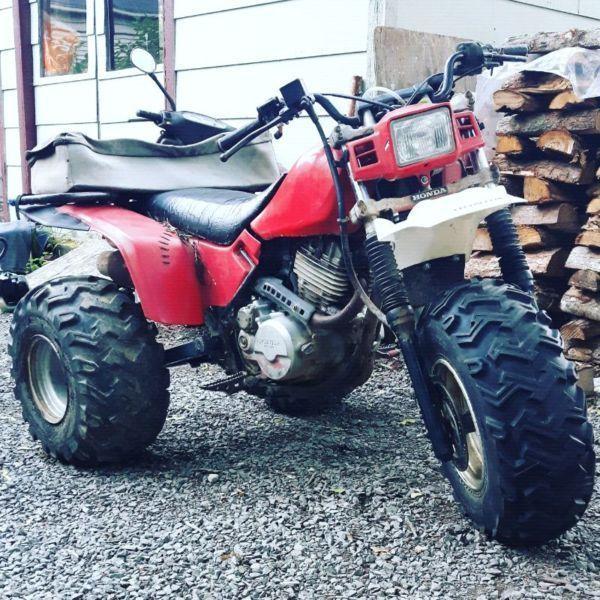Wanted: 250sx Rear Rack
