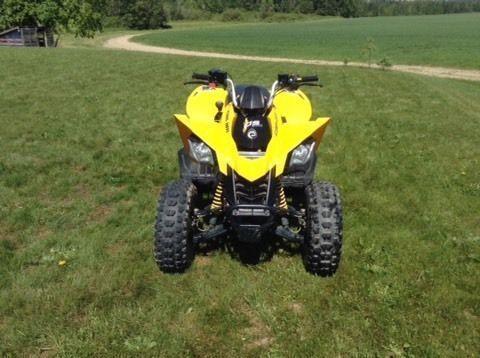 CAN AM DS250