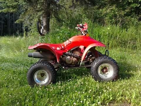 94 Honda ex 300