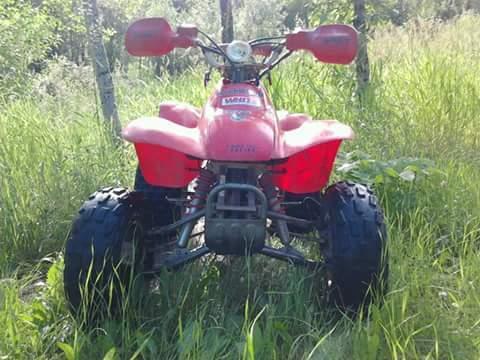 94 Honda ex 300
