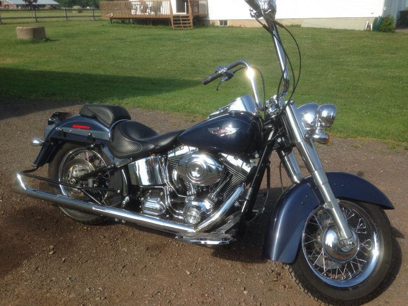 2008 softail custom