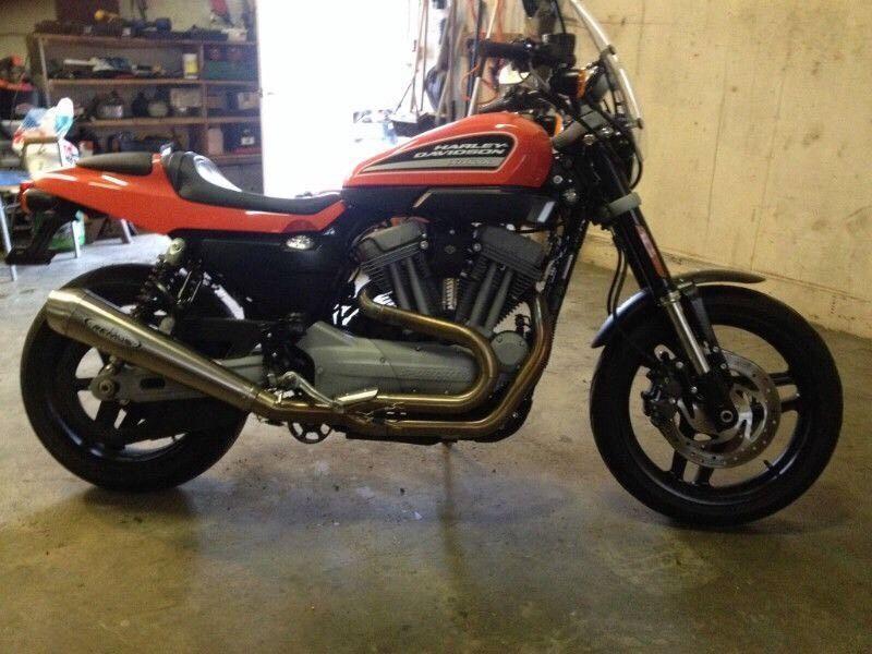 Harley XR1200