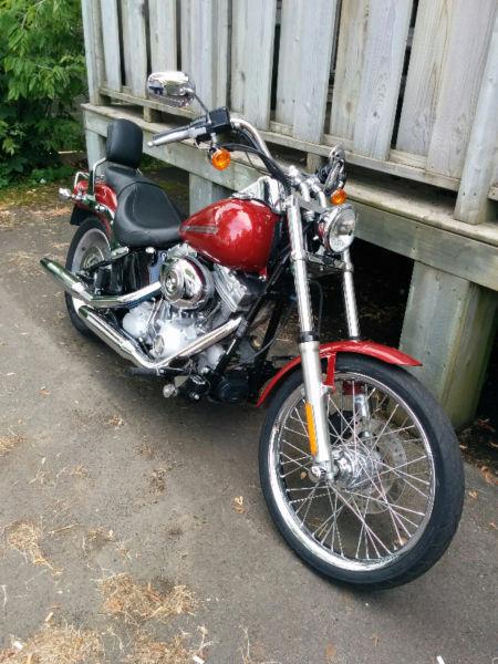 2007 HD Softail for sale