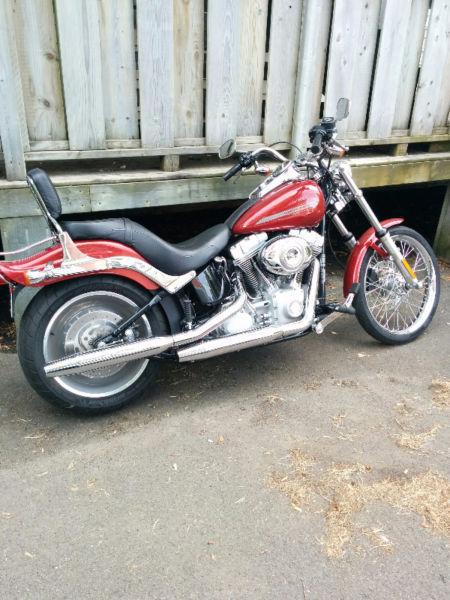 2007 HD Softail for sale