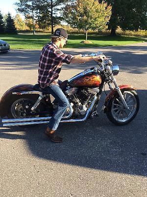 Custom Harley Davidson Dyna