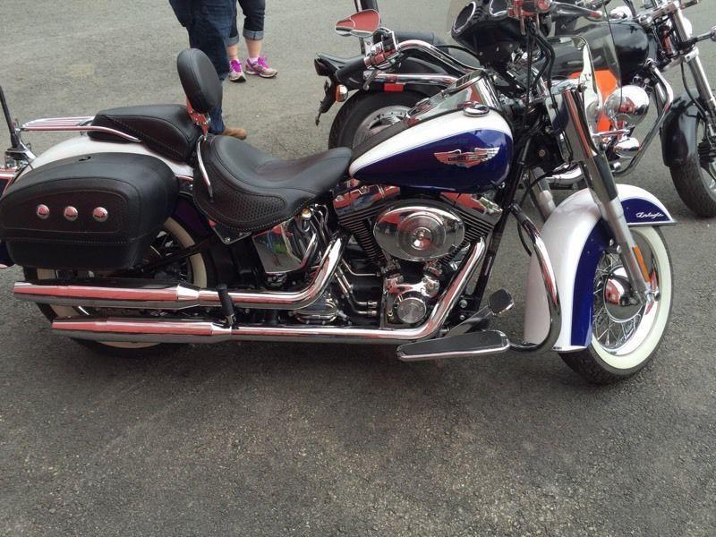 2006 Harley soft tail deluxe