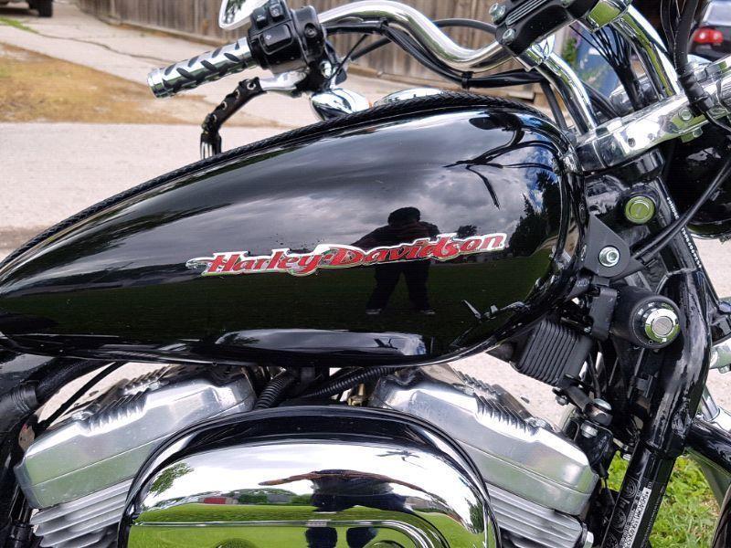 Harley Davidson Sportster !