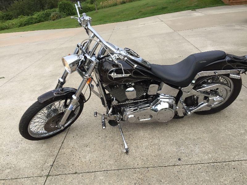 1996 HD softail