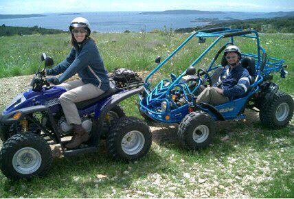 Wanted: Looking for a quad 200+ cc's will consider an offroad gokart