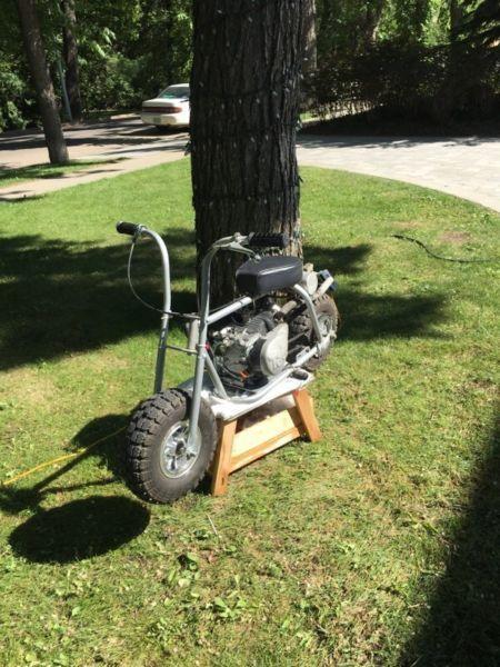 Wanted: Taco Minibike