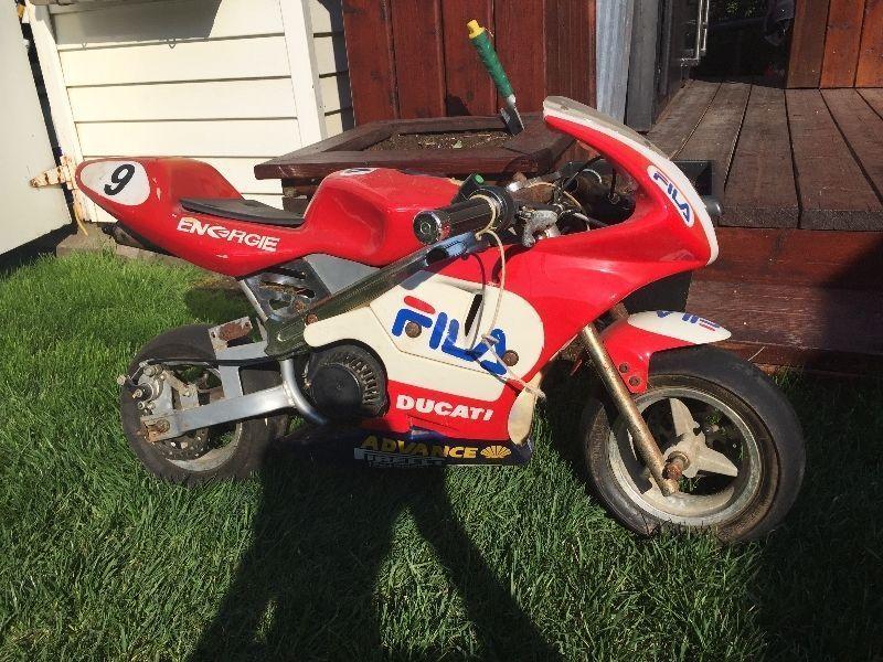 Ducati pocket bike