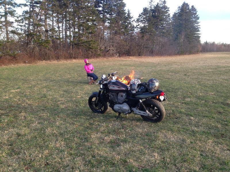 Rare fun and fast XR1200