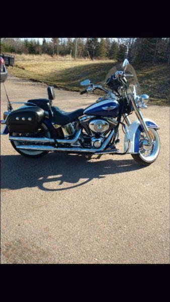 SOFTAIL DELUXE in like-new condition