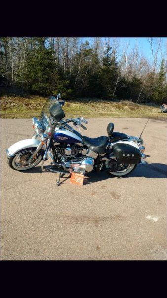 SOFTAIL DELUXE in like-new condition
