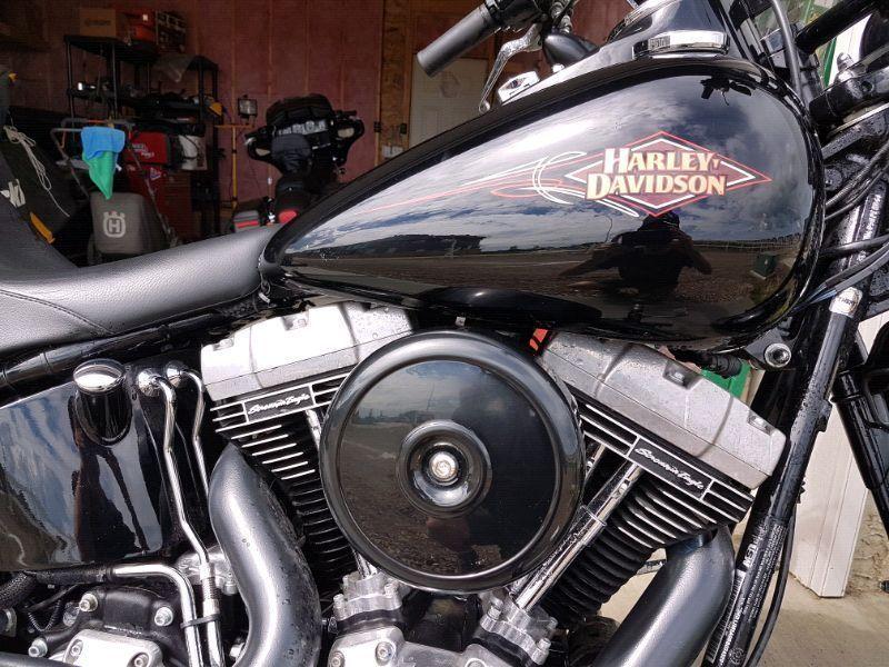 2011 Harley Davidson Crossbones