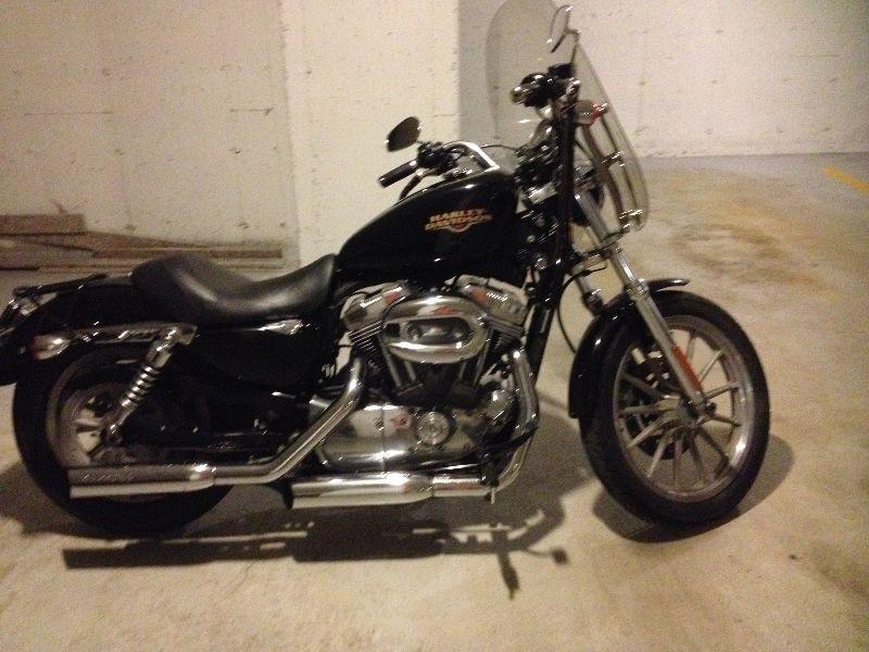 Sportster Mint Condition