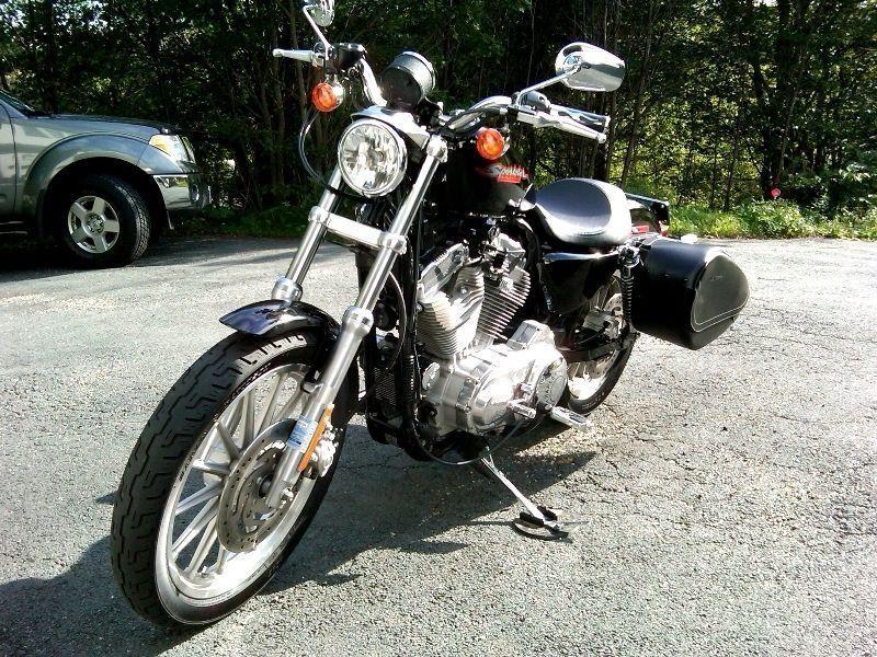 *REDUCED* Harley-Davidson Sportster 883 Custom